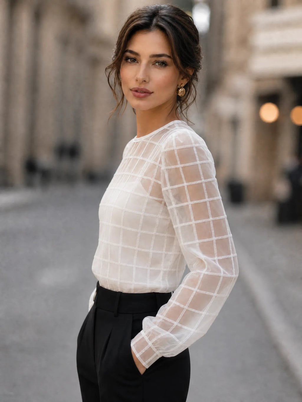 Elegant Sheer Grid Organza Long Sleeve Blouse